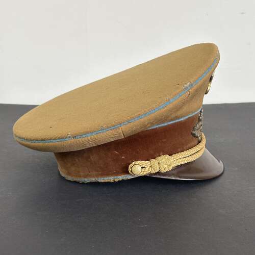 A ORIGINAL WW2 GERMAN NSDAP POLITICAL LEADERS CAP.