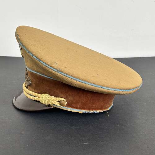 A ORIGINAL WW2 GERMAN NSDAP POLITICAL LEADERS CAP.